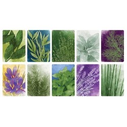 Herbaceous ENG