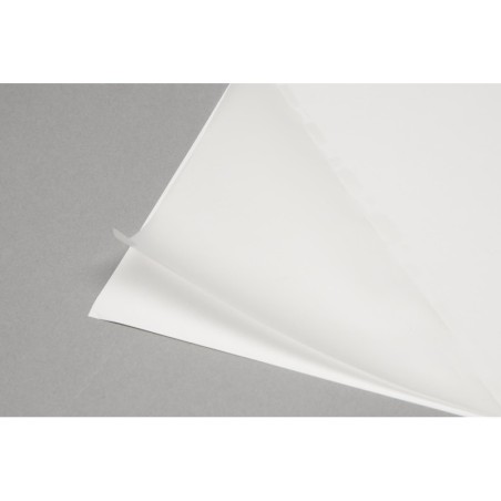 Etichette trasparenti DinA4 (solo stampanti laser, no Inkjet)