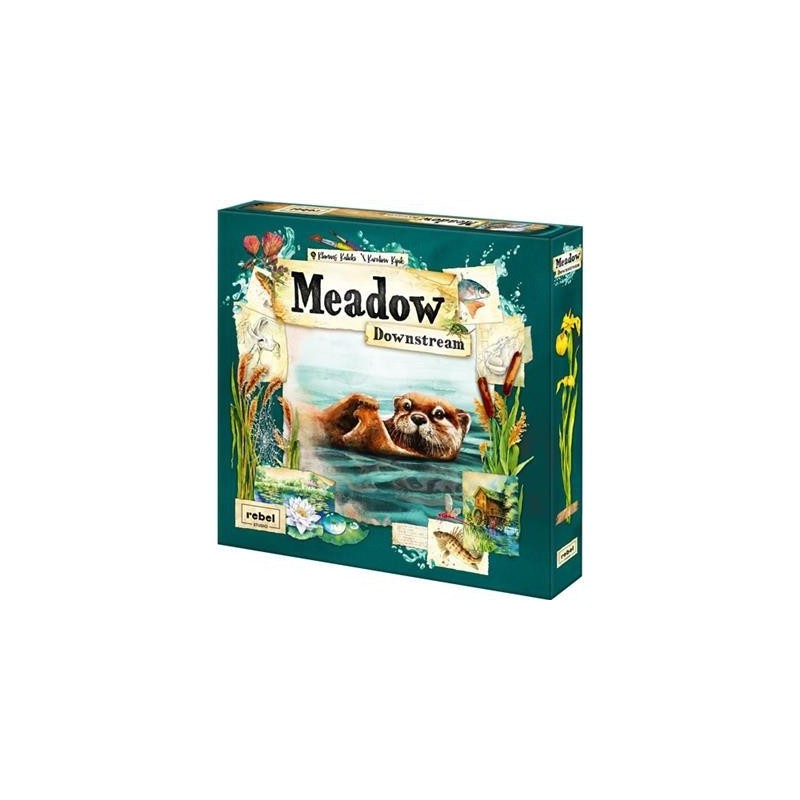 Downstream: Meadow