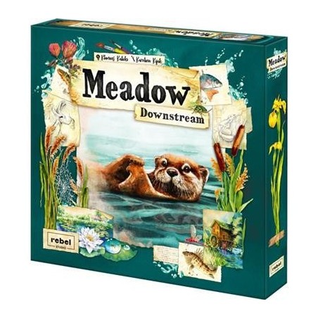 Downstream: Meadow