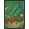 The Celestial Tribunal Environment: Sentinels of the Multiverse
