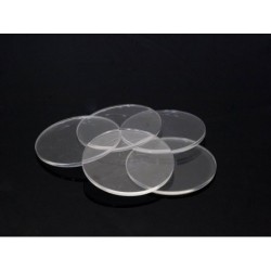 E-Raptor - Basetta...