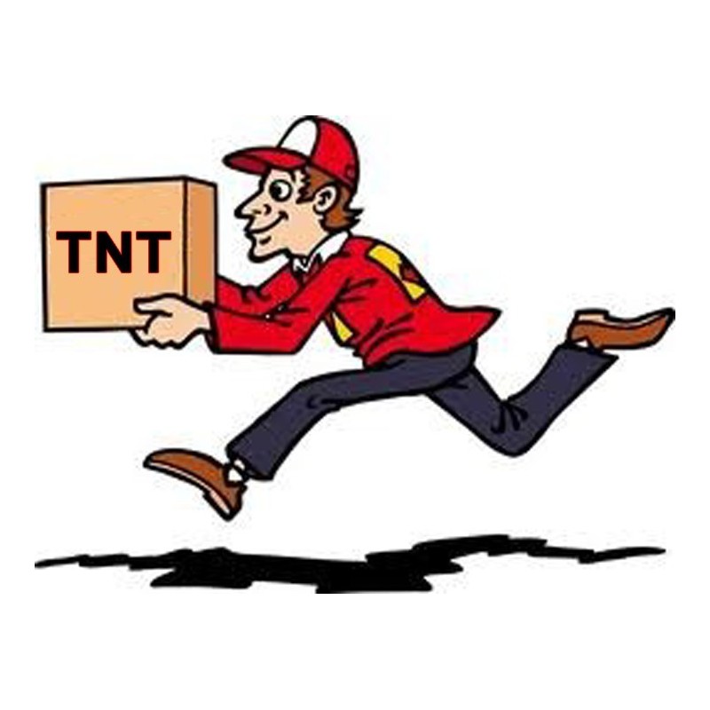 SUPPLEMENTO PER CONSEGNA PRIORITARIA TNT