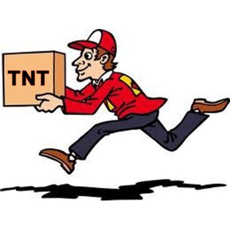 SUPPLEMENTO PER CONSEGNA PRIORITARIA TNT