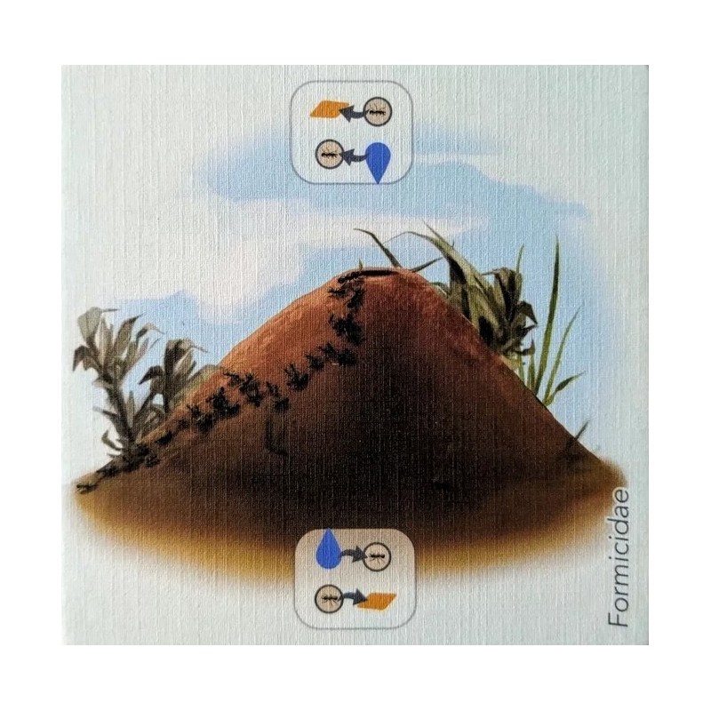 Anthill Promo Tile: Petrichor