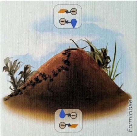 Anthill Promo Tile: Petrichor