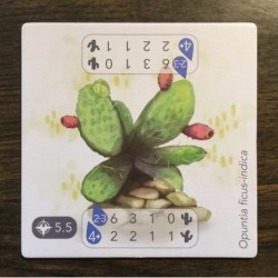 Cactus Promo Tile: Petrichor