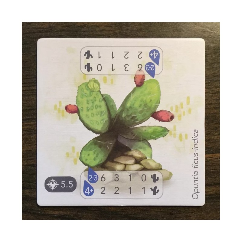 Cactus Promo Tile: Petrichor