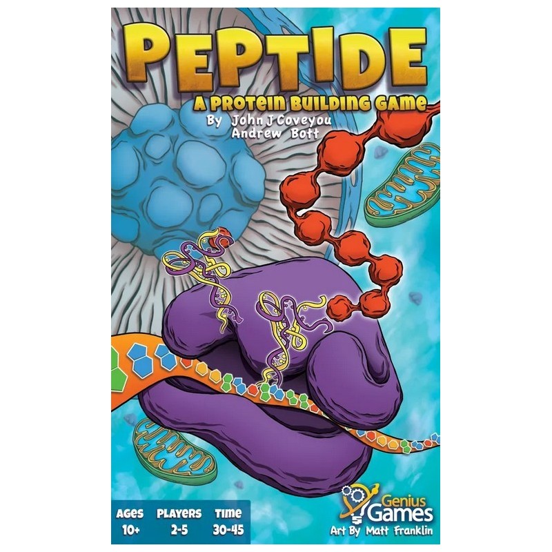 Peptide: A Protein Building Game