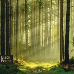 Black Forest ENG