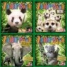 BUNDLE Zooloretto: base + Exotic + Mini + XXL