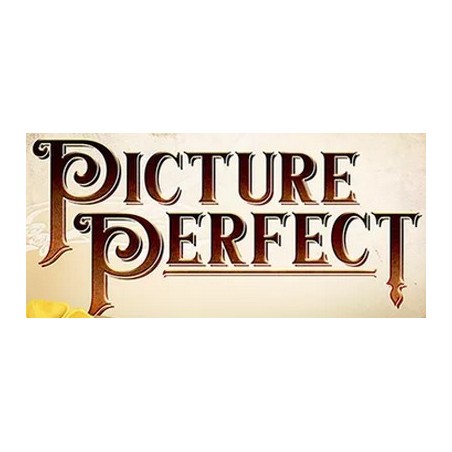 BUNDLE Picture Perfect + 5-6 Players Expansion