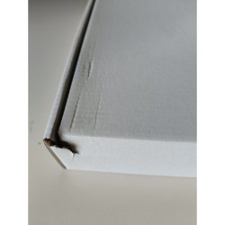 Fan-Kit 5: Orleans (scatola...