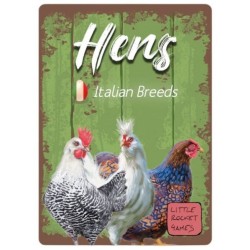 Italian Breeds: Hens