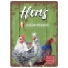 Italian Breeds: Hens