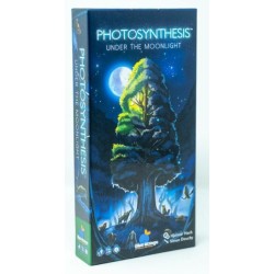 Under the Moonlight:...