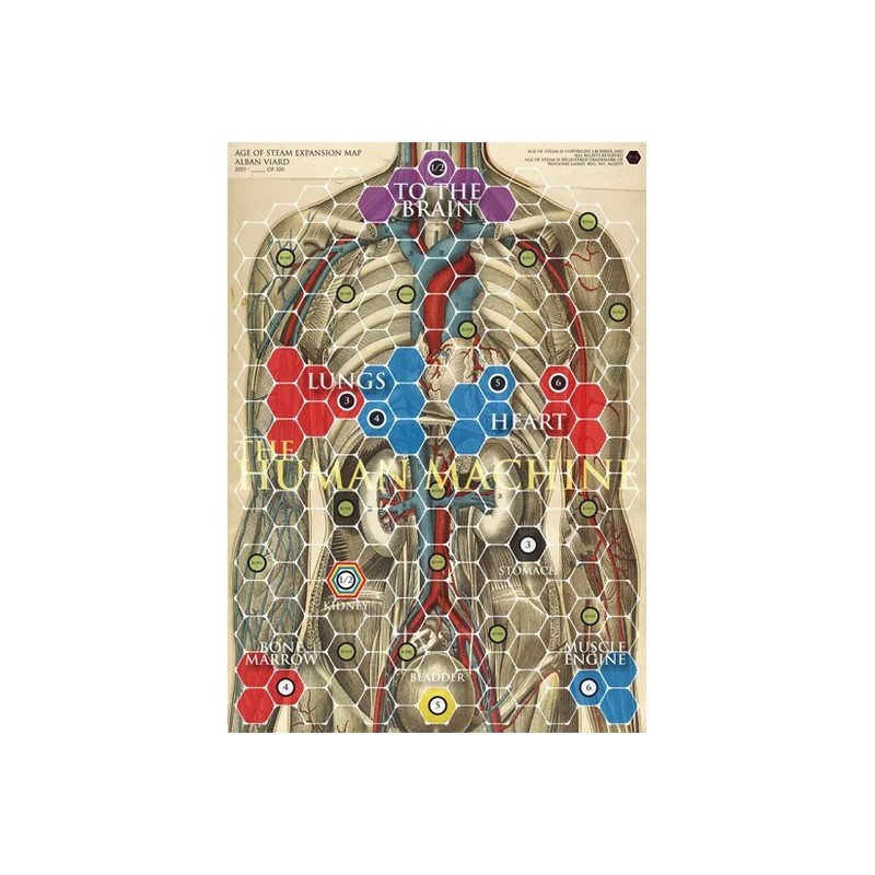 Human Body and Synapses: Age of Steam