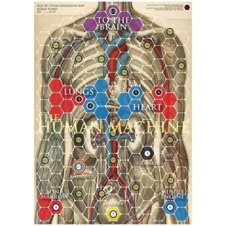 Human Body and Synapses: Age of Steam