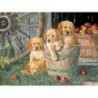 Puppy Pail - Cobble Hill Puzzle 400 pezzi