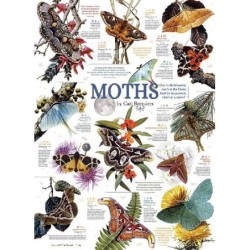 Moth Collection - Cobble...