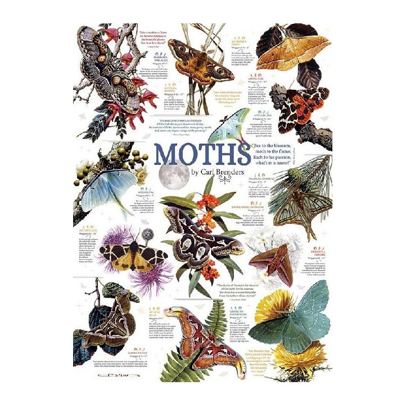 Moth Collection - Cobble Hill Puzzle 1000 pezzi