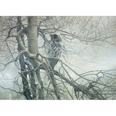 Ghost of the North - Cobble Hill Puzzle 1000 pezzi