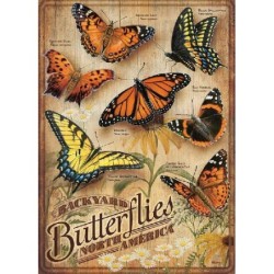 Backyard Butterflies -...