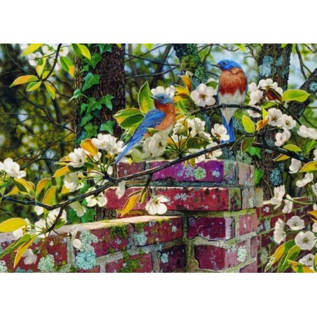 Backyard Blues - Cobble Hill Puzzle 1000 pezzi