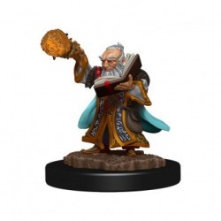 Gnome Wizard Male - D&D...