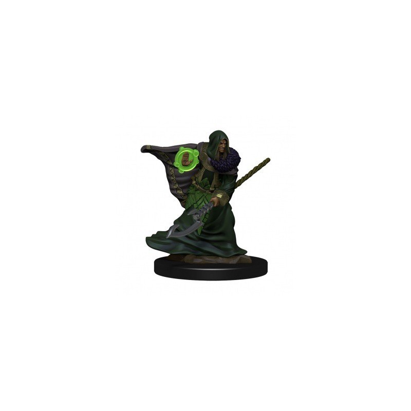 Elf Druid Male - D&D Icons of the Realms Premium Figures