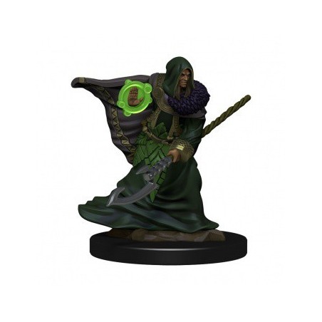 Elf Druid Male - D&D Icons of the Realms Premium Figures