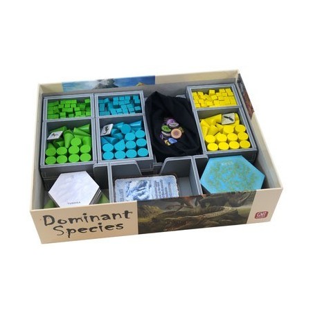 Dominant Species - Organizer Folded Space in EvaCore - DOMSP