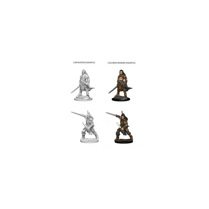 Pathfinder Deep Cuts Unpainted Miniatures - Human Male Fighter (2 Units)