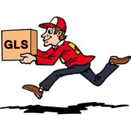 SUPPLEMENTO PER CONSEGNA PRIORITARIA GLS