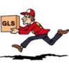 SUPPLEMENTO PER CONSEGNA PRIORITARIA GLS