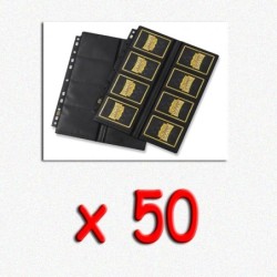 BUNDLE Dragon Shield -...