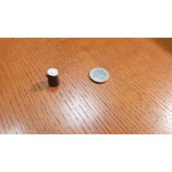 Token Risorsa in resina LEGNO