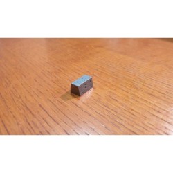 Token Risorsa in metallo FERRO