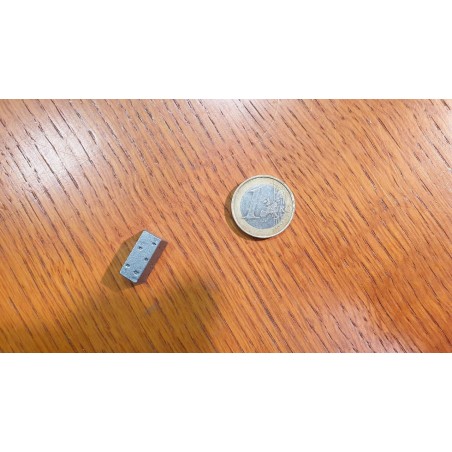 Token Risorsa in metallo FERRO