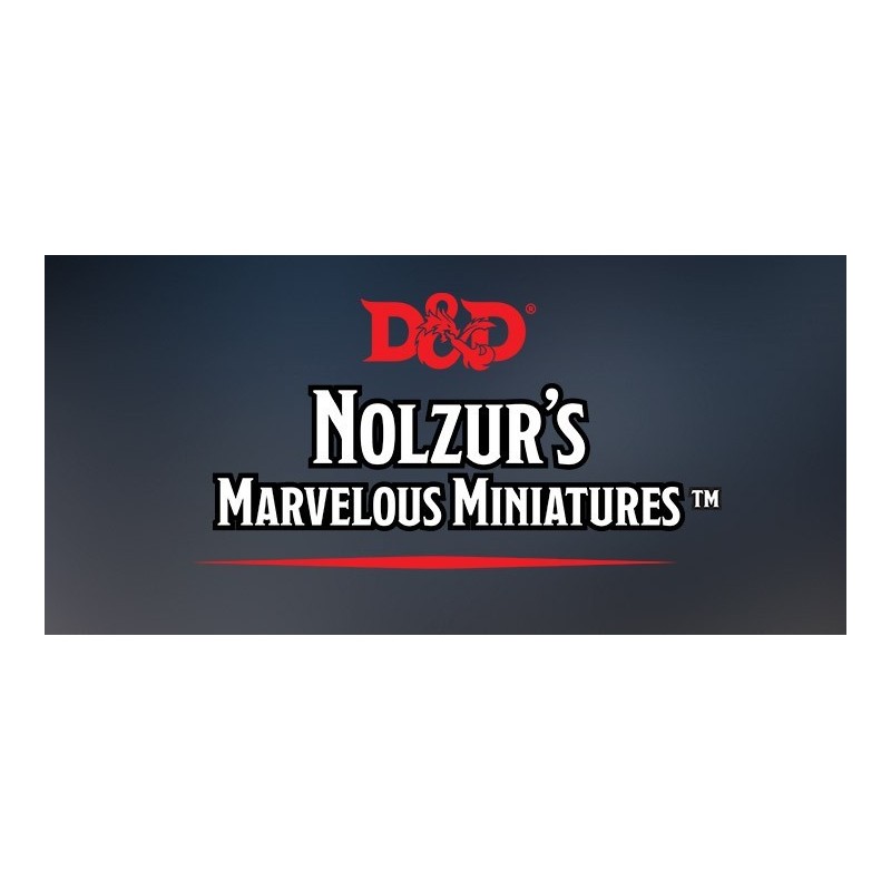 BUNDLE D&D MINIATURES: Female