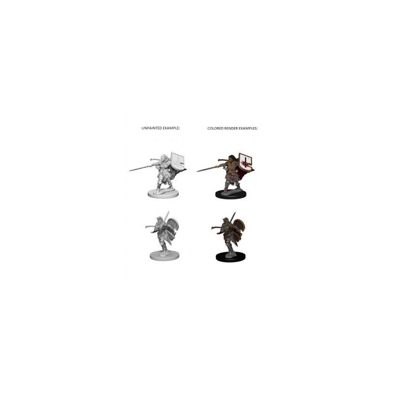 Pathfinder Deep Cuts Unpainted Miniatures - Human Female Paladin (2 Units)