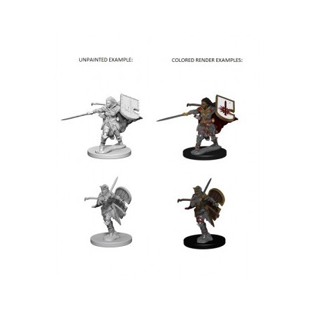 Pathfinder Deep Cuts Unpainted Miniatures - Human Female Paladin (2 Units)