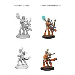 Pathfinder Deep Cuts Unpainted Miniatures - Human Female Sorcerer (2 Units)