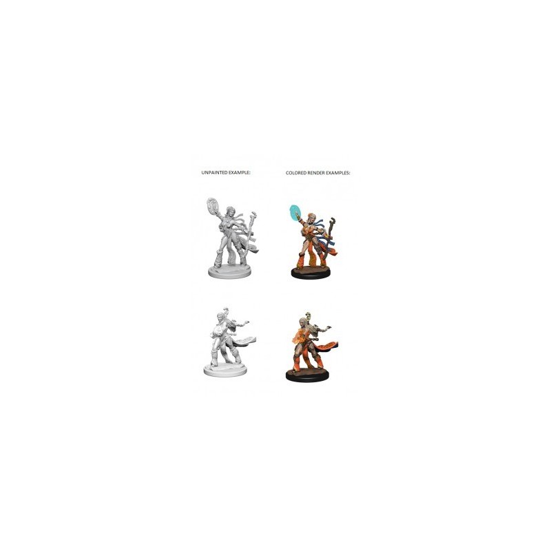 Pathfinder Deep Cuts Unpainted Miniatures - Human Female Sorcerer (2 Units)