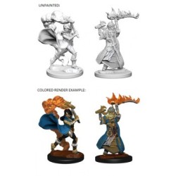 Pathfinder Deep Cuts Unpainted Miniatures - Human Female Cleric (2 Units)