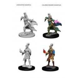 Pathfinder Deep Cuts Unpainted Miniatures - Elf Female Sorcerer (2 Units)