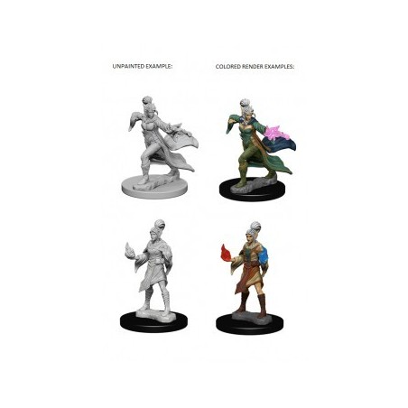 Pathfinder Deep Cuts Unpainted Miniatures - Elf Female Sorcerer (2 Units)
