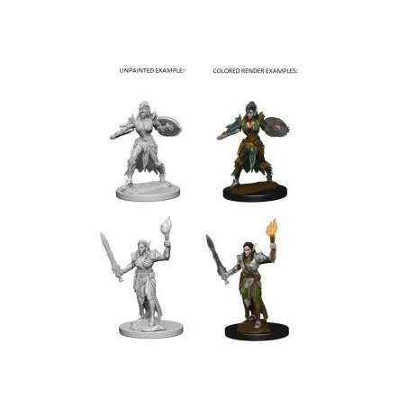 Pathfinder Deep Cuts Unpainted Miniatures - Elf Female Fighter (2 Units)