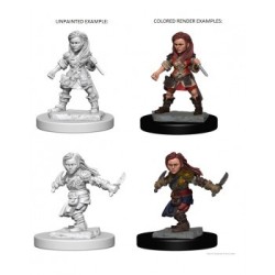 Human Male Sorcerer (2 Units) - D&D Nolzur's Marvelous UnpaintedMiniatures