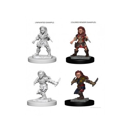 Human Male Sorcerer (2 Units) - D&D Nolzur's Marvelous UnpaintedMiniatures